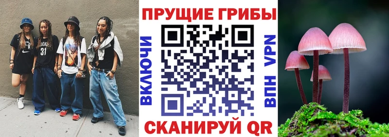 ссылка на мегу зеркало  Каргополь  Галлюциногенные грибы Psilocybine cubensis  хочу наркоту 
